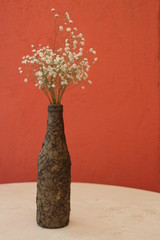 estas son diferentes tipos de flores y hojas, fotos tomadas en distintos lugares y jardines aqui podemos observar diferentes tipos,colores ,texturas y tamaños .           