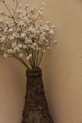 estas son diferentes tipos de flores y hojas, fotos tomadas en distintos lugares y jardines aqui podemos observar diferentes tipos,colores ,texturas y tamaños .           