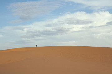 sand dune in the desert