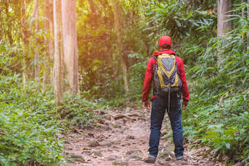 Asian travel handsome man hiking in forest and mountain enjoy walking in nature outdoors.