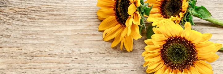 Zelfklevend Fotobehang Sunflowers on wooden background. © agneskantaruk