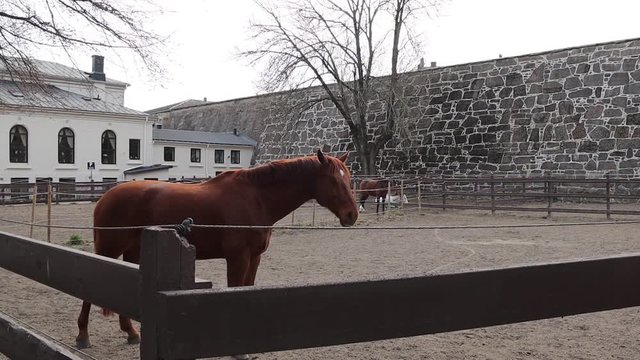 Akershus Fortress is a great place to discover Oslo's history and enjoy a summer day.