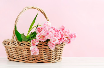 Fototapeta na wymiar Huge bouquet of pink tulips in wicker basket. Postcard motif