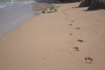 Footprint on sand at the beach.