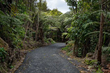 The walkway to Cathedral Cove