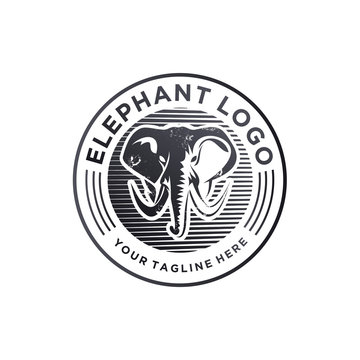 elephant logo designs concept, elephant face mascot logo template