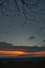 Fototapeta na wymiar Sonnenuntergang unter einem dürren Ast