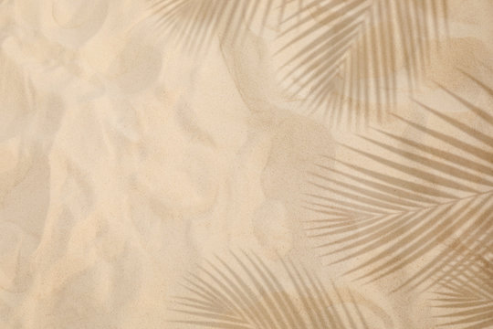 Selective focus of summer and holiday  backgrounds concepts with shadow of coconut leaf on clean sand beach