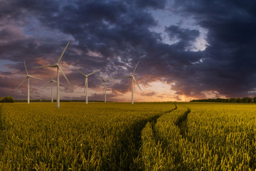 Wind turbines in field on sunrise