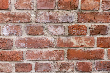 Texture of old brick wall