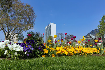 Frühling in Karlsruhe