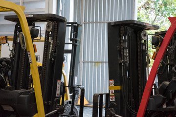 Forklifts in warehouse