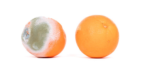 Rotten orange