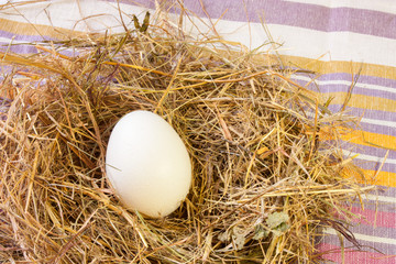 Top view of a white chicken egg in a nest of hay on the background of a striped towel 