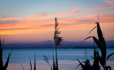 Silueta atardecer