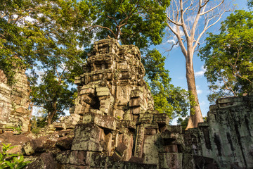 Fototapeta premium Ta Prohm in Angkor Archaeological Park in Cambodia