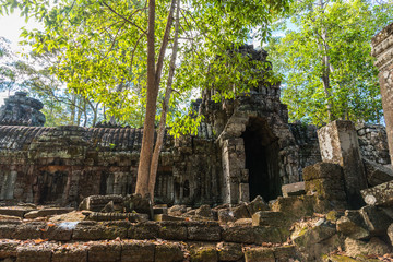 Ta Nei in Angkor Archaeological Park in Cambodia