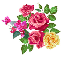 Rose bouquet  vector illustration