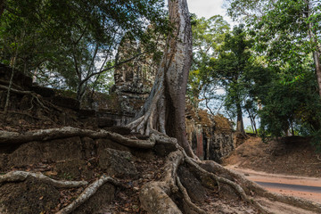 Fototapeta na wymiar Angkor Thom in Angkor Archaeological Park in Cambodia