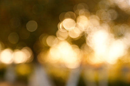 Abstract blurred nature background. Forest trees, Sunny day, sun glare, bokeh. Defocused backdrop for your design