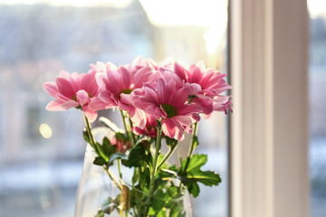 Beautiful flowers near window, closeup