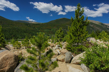 Fototapeta na wymiar Alluvial Fan Area in Rocky Mountain National Park in Colorado, United States