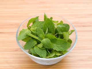 ハーブ　スペアミント