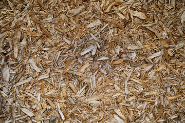 Sawdust. Wood texture. Original background.