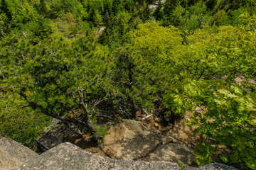 Beehive Trail in Acadia National Park in Maine, United States