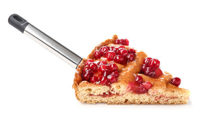 Piece of tasty cranberry pie on white background © Pixel-Shot