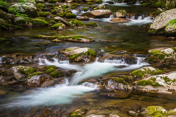 Fototapeta na wymiar Big Creek in Great Smoky Mountains National Park in North Carolina, United States