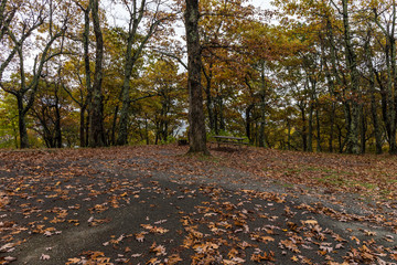 Big Meadows Campground in Shenandoah National Park in Virginia, United States
