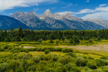 Blacktail Ponds Overlook in Grand Teton National Park in Wyoming, United States