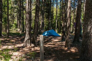 Blackwoods Campground in Acadia National Park in Maine, United States