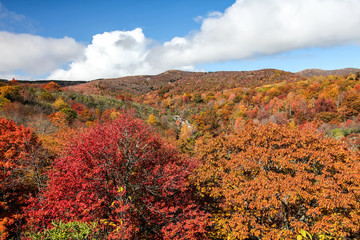 VIstas along the Blue Ridge Parkway in North Carolina, United States
