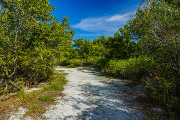 Fototapeta na wymiar Boca Chita Key Trail in Biscayne National Park in Florida, United States
