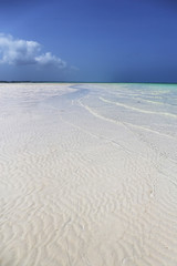 Fototapeta na wymiar Amazing beach with white sand in Zanzibar,Tanzania