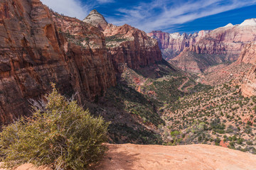 Naklejka premium Canyon Overlook Trail in Zion National Park in Utah, United States