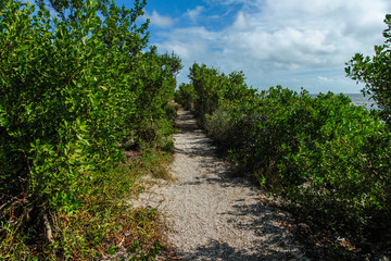 Fototapeta na wymiar Convoy Point Trail in Biscayne National Park in Florida, United States