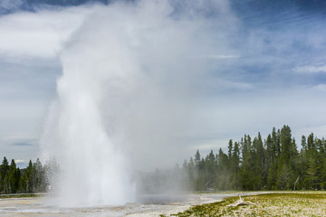 Daisy Geyser in Yellowstone National Park in Wyoming, United States