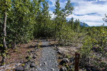 Exit Glacier Campground in Kenai Fjords National Park in Alaska, United States
