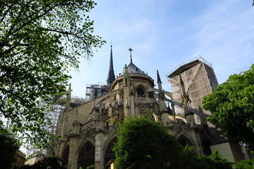 Fototapeta na wymiar Notre Dame de Paris. Échafaudages. 15-04-2019