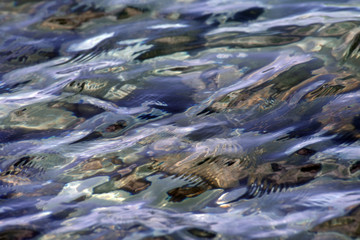 Abstract sea background, through the clear water visible stones on the bottom.