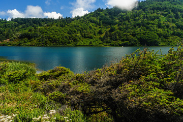 Obraz premium Freshwater Lagoon in Redwood National Park in California, United States