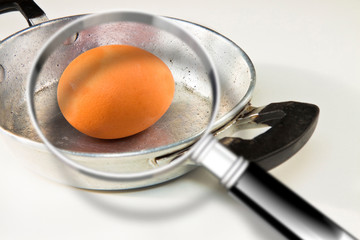 Quality control about salmonella bacterium on eggs on cooking pan - HACCP (Hazard Analyses and Critical Control Points) concept image with egg seen through a magnifying glass