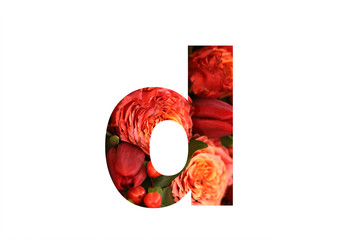 Floral font letter D from a real red-orange rose for bright design. Stylish font of flowers for conceptual ideas.