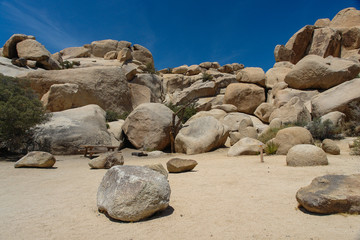 Hidden Valley Campground in Joshua Tree National Park in California, United States