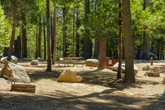 Hodgdon Meadow Campground in Yosemite National Park in California, United States
