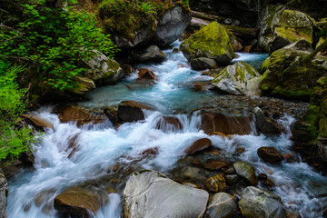 Ladder Creek in Ross Lake National Recreation Area in Washington, United States