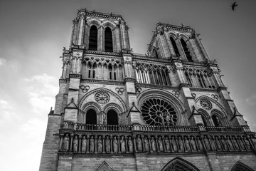 Parigi, francia, TourEiffel, Notre Dame, viaggio, 